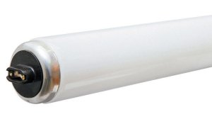 (image for) 75 watt T12 60 in. L Fluorescent Bulb Cool White Lin