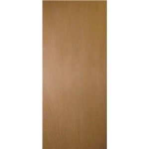 (image for) 32 in. x 80 in. Smooth Flush Primed Hollow Core Lauan Composite