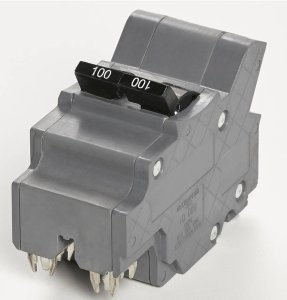 (image for) 100 Amps Federal Pacific Type NA 2-Pole