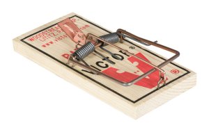 (image for) Snap Trap For Rats 1 pk