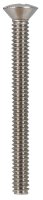 (image for) No. 1/4-20 x 2-1/2 in. L Phillips Oval Head Stainless St