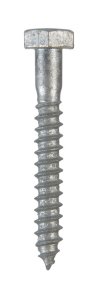 (image for) 1/4 in. x 2 in. L Hex Hot Dipped Galvanized Steel Lag Sc