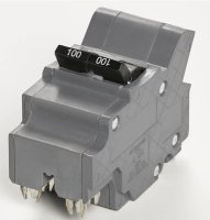 (image for) 100 Amps Federal Pacific Type NA 2-Pole