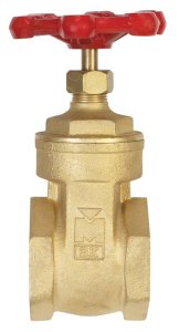 (image for) 2 in. Brass Gate Valve