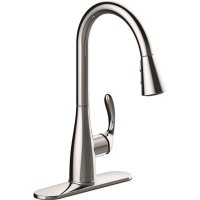 (image for) Single-Handle Pull-Down Sprayer Kitchen Faucet in Chrome