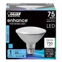 (image for) PAR30 E26 (Medium) LED Bulb Daylight 75 Wa