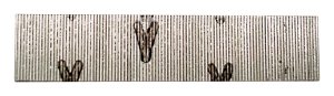 (image for) 5/8 in. 23 Ga. Straight Strip Micro Pins Smooth Shank 2,60