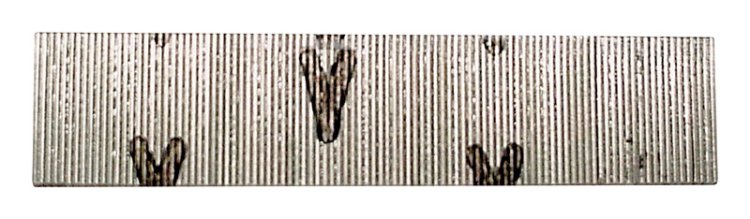 (image for) 5/8 in. 23 Ga. Straight Strip Micro Pins Smooth Shank 2,60