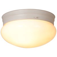 (image for) 9.125 in. 2-Light White Flushmount
