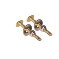 (image for) Toilet Bolt 5/16 in. x 2-1/4 in. Oval Brass Plated