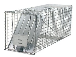 (image for) Live Catch Cage Trap For Cats and Raccoons 1 pk