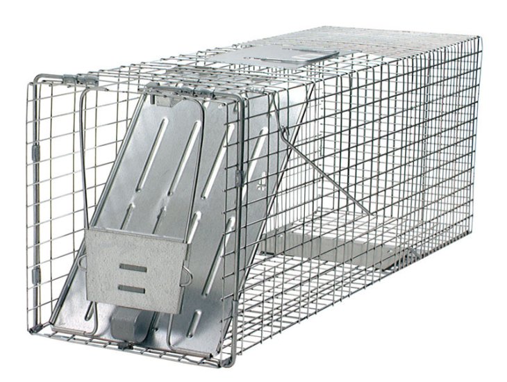 (image for) Live Catch Cage Trap For Cats and Raccoons 1 pk