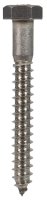 (image for) 5/16 in. x 2-1/2 in. L Hex Stainless Steel Lag Screw 25