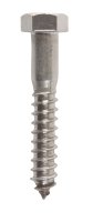 (image for) 1/2 in. x 3 in. L Hex Stainless Steel Lag Screw 25 pk