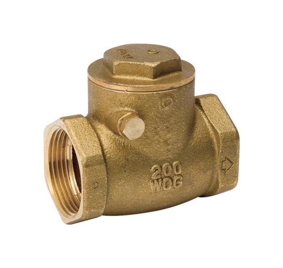 (image for) 2 in. Dia. x 2 in. Dia. Brass Swing Check Valve