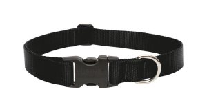 (image for) Lupine Pet Basic Solids Black Black Nylon Dog Adjustable Collar