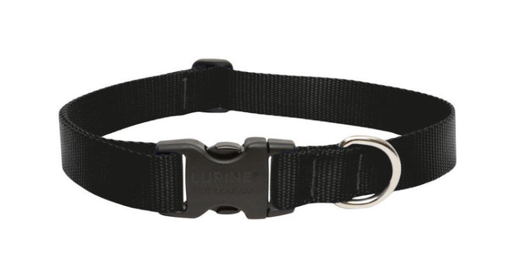 (image for) Lupine Pet Basic Solids Black Black Nylon Dog Adjustable Collar