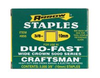 (image for) STAPLE ARROW 3/8" BX5000