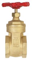 (image for) 2 in. Brass Gate Valve