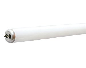 (image for) Rapid Start 25 watt T8 36 in. L Fluorescent Bulb Co