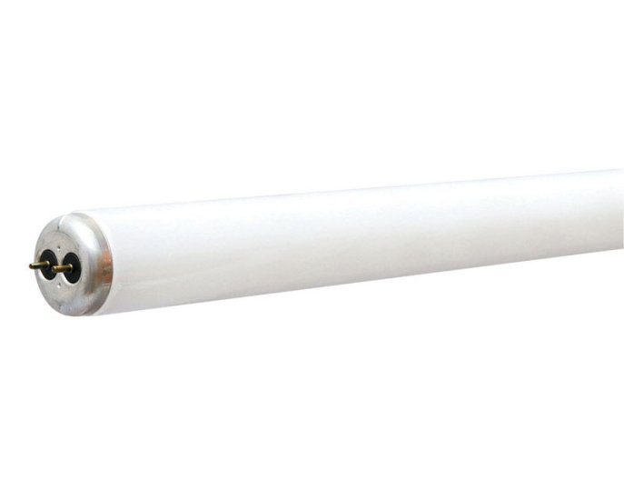 (image for) Rapid Start 25 watt T8 36 in. L Fluorescent Bulb Co