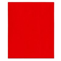 (image for) 5-1/2 in. L x 4-1/2 in. W 220 Grit Aluminum Oxide Sanding