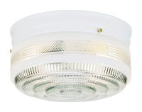 (image for) 5-1/4 in. H x 10-3/4 in. W x 10.75 in. L Ceiling Li