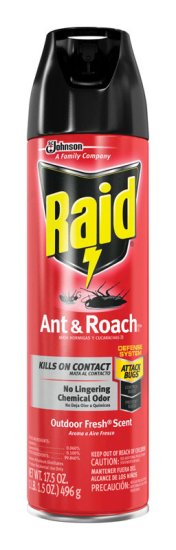 (image for) Aerosol Insect Killer 17.5 oz.