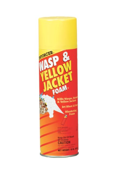 (image for) Foam Wasp Insect Killer 16 oz.