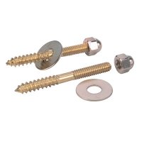 (image for) 1/4 in. x 2-1/2 in. Toilet Screws Brass Plated