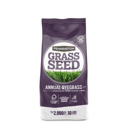 (image for) Annual Ryegrass Sun or Shade Grass Seed 10 lb