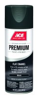 (image for) Premium Flat Black Enamel Spray Paint 12 oz.