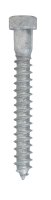 (image for) 3/8 in. x 3 in. L Hex Hot Dipped Galvanized Steel Lag Sc