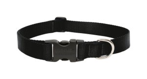 (image for) Lupine Pet Basic Solids Black Black Nylon Dog Adjustable Collar