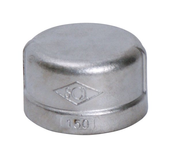 (image for) 1 in. FPT x 1 in. Dia. FPT Stainless Steel Cap