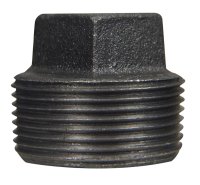(image for) 2 in. MPT Black Malleable Iron Plug