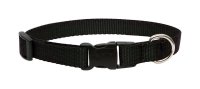 (image for) Lupine Pet Basic Solids Black Black Nylon Dog Adjustable Collar
