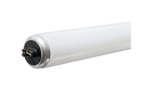 (image for) GE 95 watts T12 96 in. L Fluorescent Bulb Cool White Linear 4100