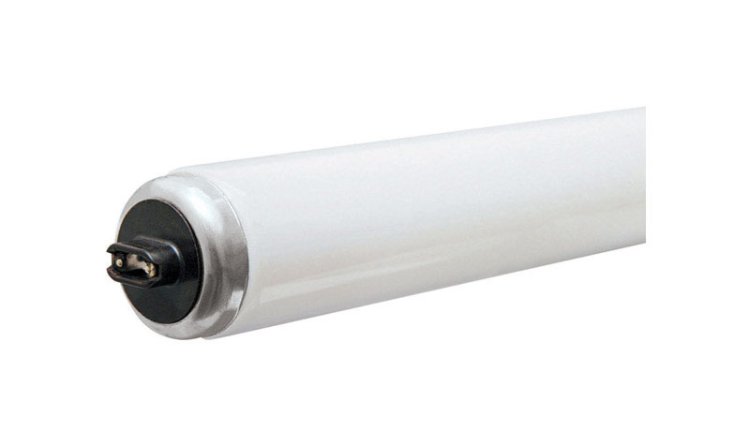 (image for) GE 95 watts T12 96 in. L Fluorescent Bulb Cool White Linear 4100