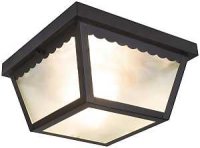 (image for) Two Light Ceiling Flushmount Fixture Black - A19 Bulbs