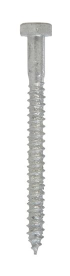 (image for) 1/4 in. x 3 in. L Hex Hot Dipped Galvanized Steel Lag Sc