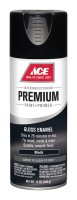 (image for) Premium Gloss Black Enamel Spray Paint 12 oz.