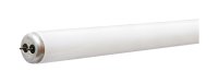 (image for) GE 34 watts T12 48 in. L Fluorescent Bulb Cool White Linear 4100