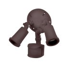 (image for) Motion Activated Lighting