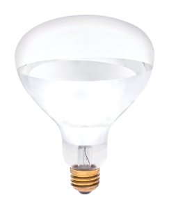 (image for) 250 watt R40 Reflector Incandescent Bulb E26 (Mediu