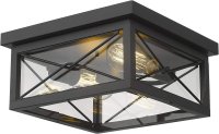 (image for) Flush Mount Ceiling 2-Light in Black Finish