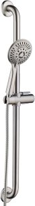 (image for) ADA Shower Head and Grab Bar