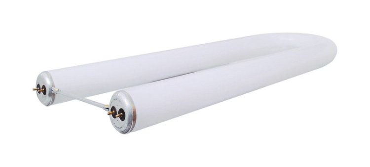 (image for) GE 32 watts T8 22.5 in. L Fluorescent Bulb Cool White Decorative