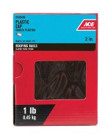 (image for) 2 in. Roofing Galvanized Plastic/Steel Nail Flat 1 lb.