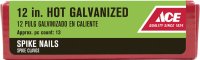 (image for) 12 in. Spike Hot-Dipped Galvanized Steel Nail Diamond 5 lb.